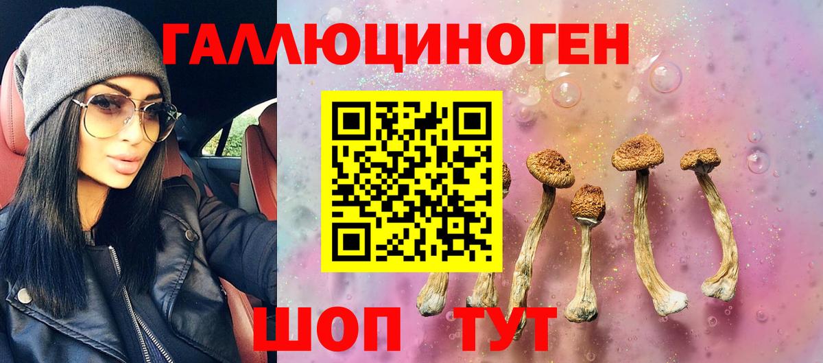 Галлюциногенные грибы ЛСД Майкоп