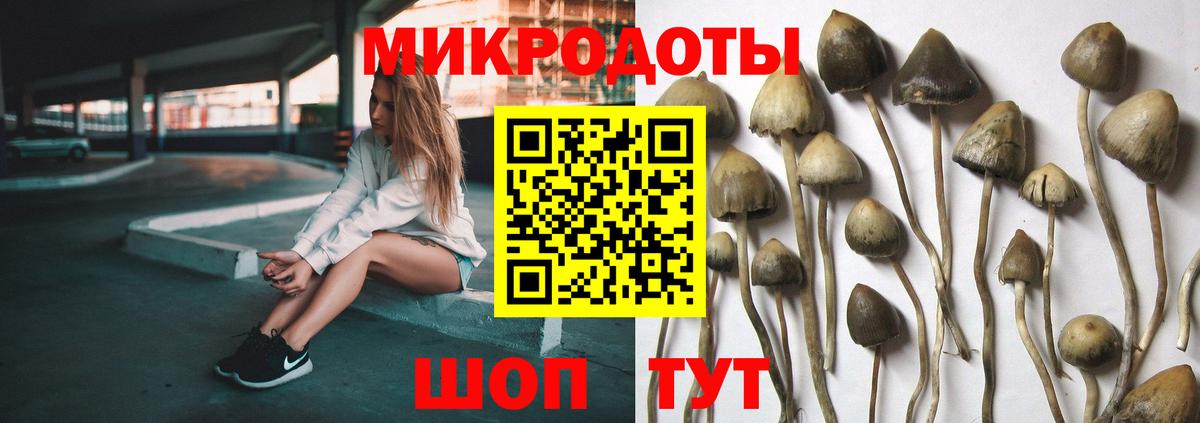 Псилоцибиновые грибы MAGIC MUSHROOMS  Вход с VPN  Майкоп 